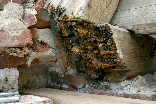 Am nahezu nicht mehr vorhandenen Kopfstück dieses Deckenbalkens ist auch für den Laien unschwer zu erkennen, wie dringend nötig die Sanierung ist.