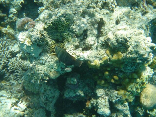 Hurghada.