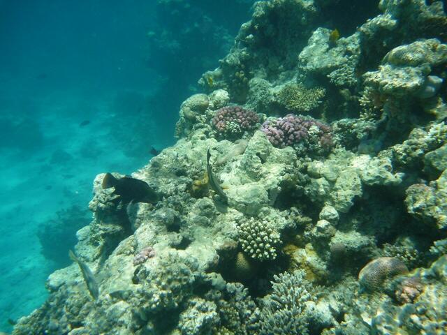 Hurghada.