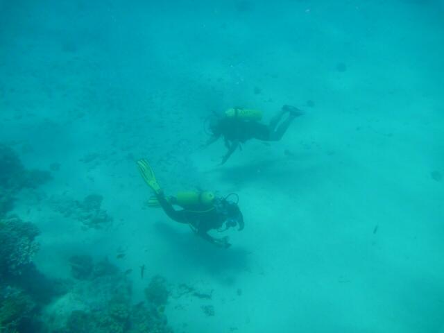 Hurghada: Zweiflosser mit Druckluftflasche - Scuba Diver - oder auch herkömmlicher Taucher genannt.