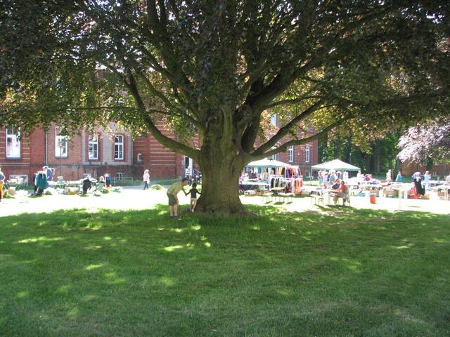Was der Baum wohl schon alles gesehen hat?