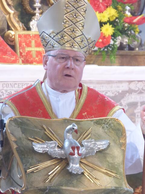 Dr. Konrad Zdarsa bei seiner Predigt in der Wallfahrtskirche