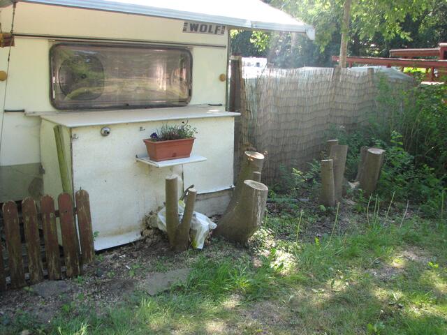 Bäume abgesägt und dann einen Blumenkasten aufgestellt...