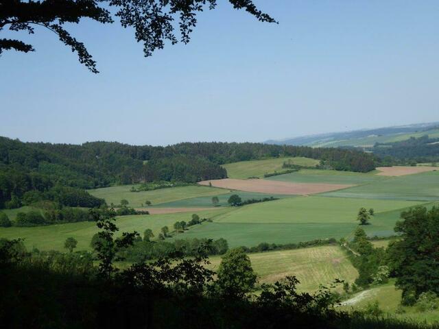 Foto: M. Möbius