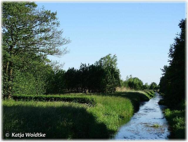 Die Wietze trennt den Park in zwei Hälften (Foto: Katja Woidtke)