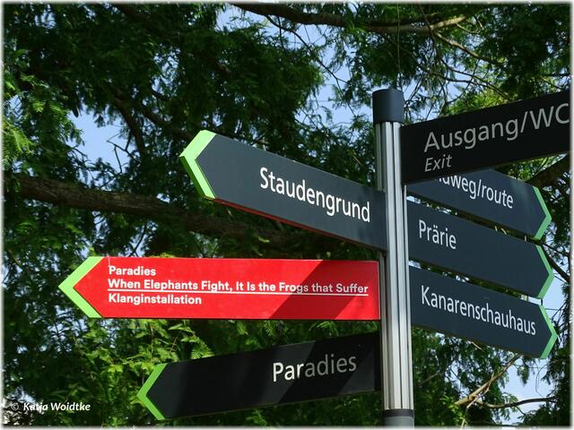 Im Rahmen der Kunstfestspiele Herrenhausen könnt ihr noch bis zum 03.06.2018 die Klanginstallation "When Elephants Fight, It Is the Frogs that Suffer" von Benjamin Patterson im Paradies des Berggartens erleben (Foto: Katja Woidtke)