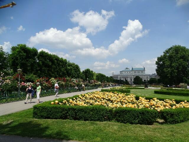 Rosenblüte im Wiener Volksgarten 2018