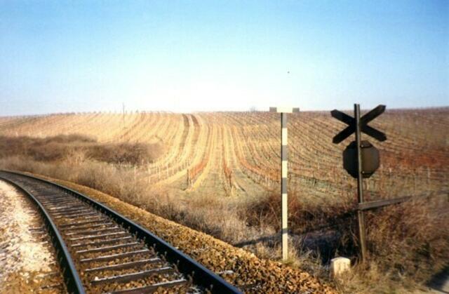 Retz, Österreich. In der Riede Galgenberg.