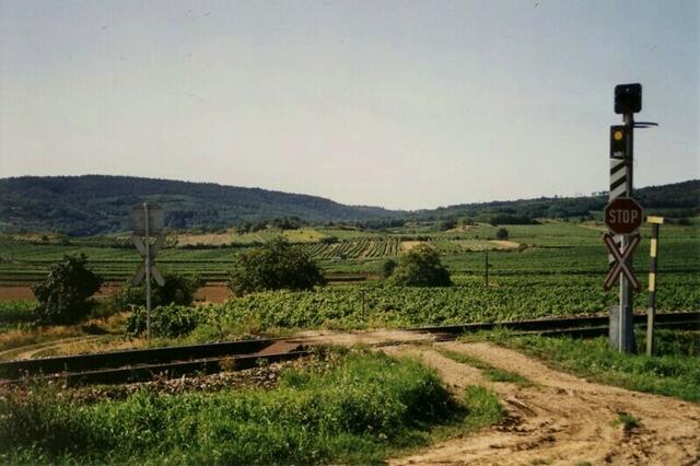 Retz, Österreich. In der Riede Galgenberg.
