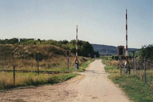 Retz, Österreich. In der Riede Galgenberg.