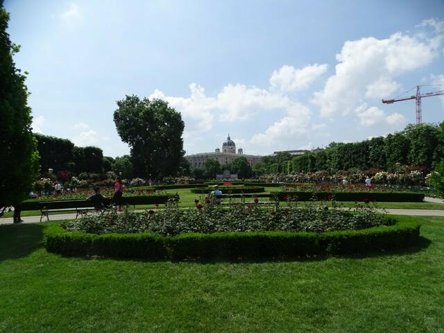 Rosenblüte im Wiener Volksgarten 2018