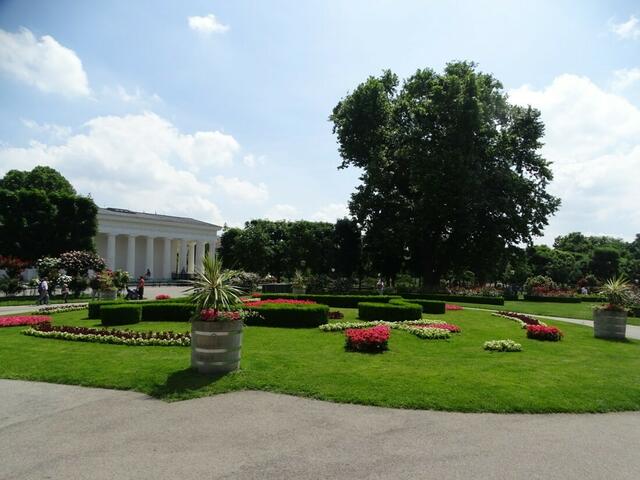 Rosenblüte im Wiener Volksgarten 2018