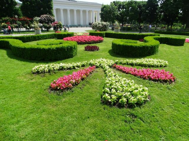 Rosenblüte im Wiener Volksgarten 2018