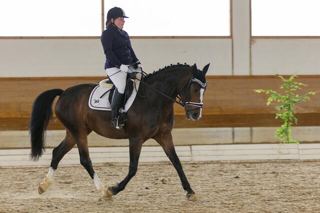 Michaela Groß auf Glorie - 4. Platz Dressurreiterprüfung Kl. A | Foto: RK Fotografie Augsburg