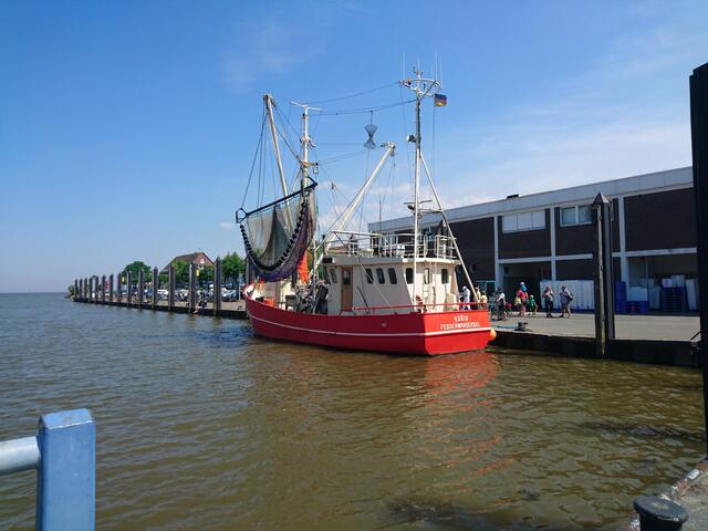 Ein Fischerboot hat vor der Fischhalle in Fedderwardersiel angelegt.