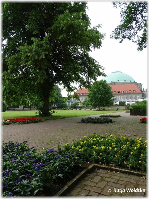 Frühsommer im Stadtpark Hannover - im Hintergrund der Kuppelsaal (Foto: Katja Woidtke)