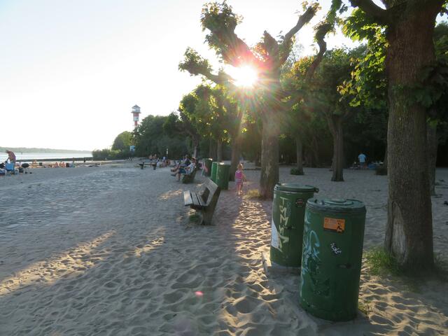 Die Abendsonne scheint durch die Bäume.