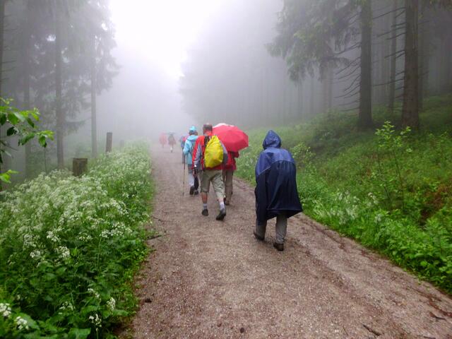 Aufstieg im Nebel