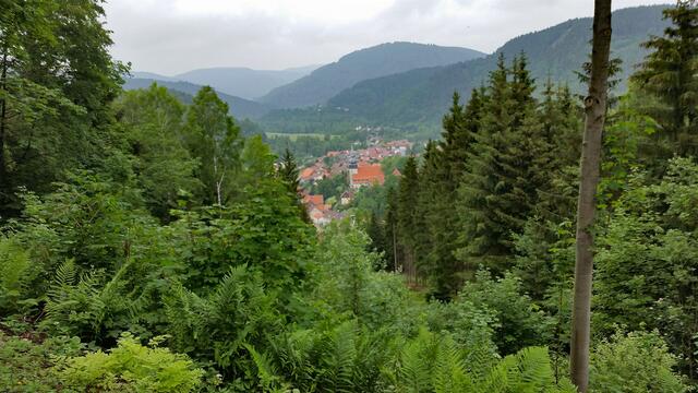 Blick vom Maaßner Gaipel auf Lautenthal