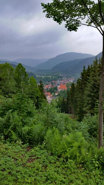 Blick  vom Brombergweg auf Lautenthal