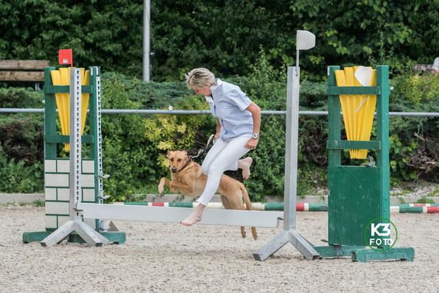 Jump and Dog | Foto: K3-Foto