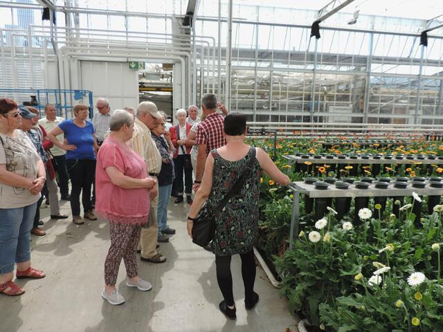 Besuch Gartenbetrieb