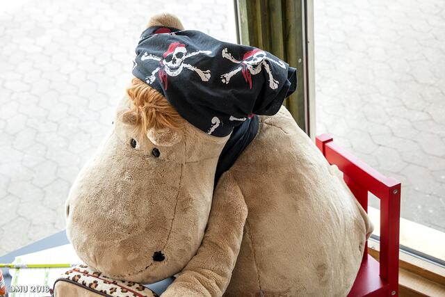 Eddy der Elch. Oder doch Konnie die Kuh?