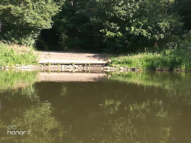 Auch hier sieht man wieder den niedrigen Wasserstand der Saale. Normalerweise kann man von oben her noch gerade so bis zur letzten (oft schon nassen) Stufe gehen.
