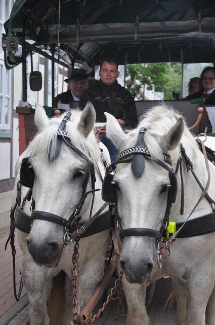 Impressionen vom Festumzug anlässlich des 425-jährigen Jubiläums des Schützenfestes in Burgdorf