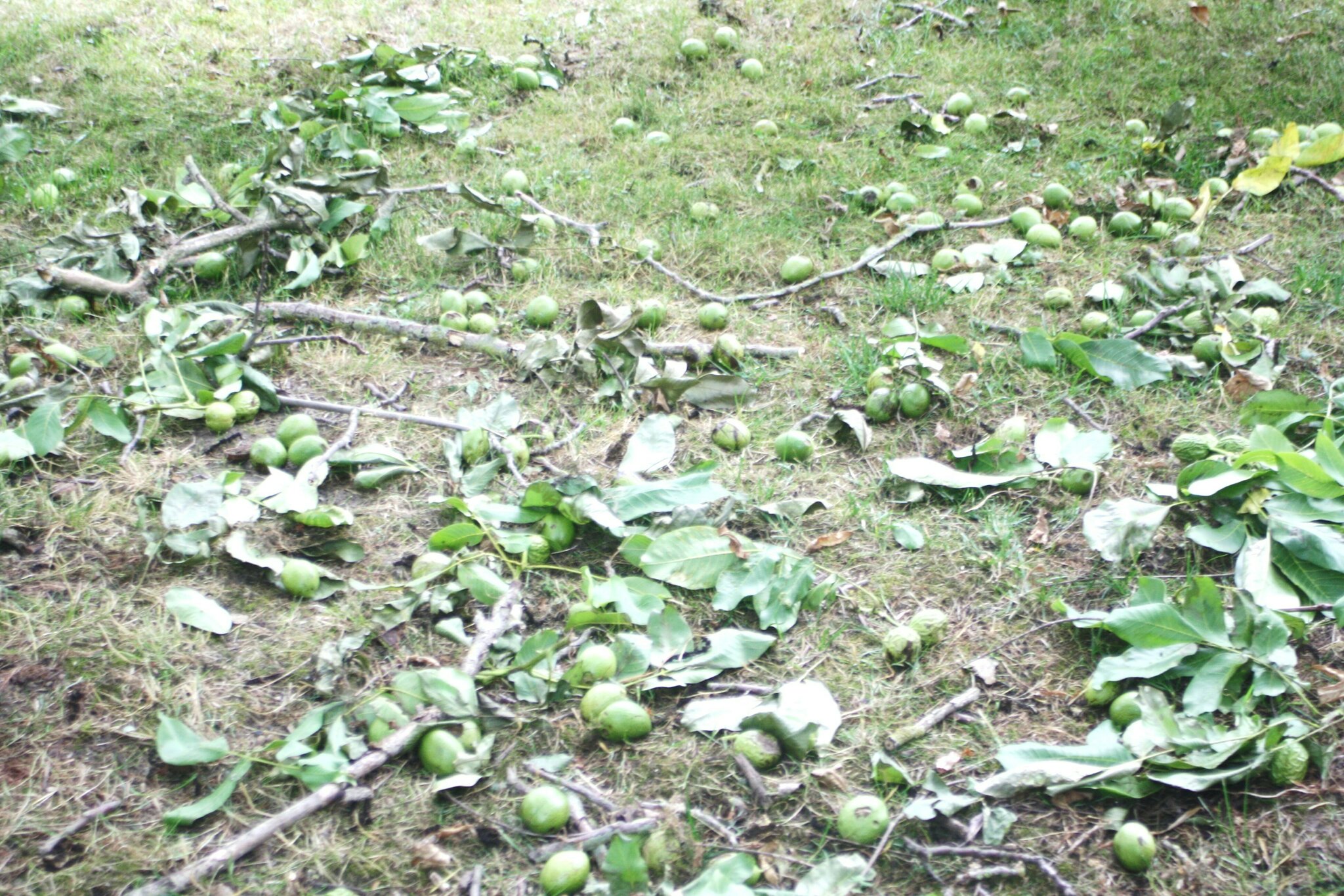 33+ Garten Sarstedt An Der Innerste, Bist du auf der suche nach