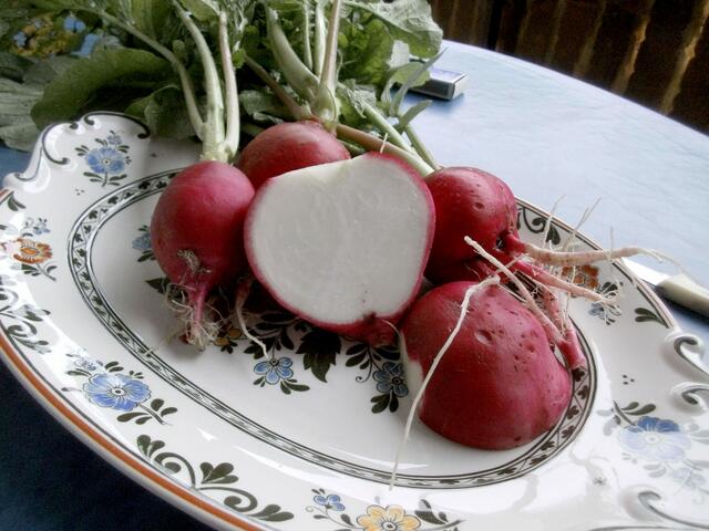 Und wie man sieht weder hohl, noch holzig