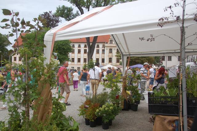 Eine bunte Vielfalt gilt es jedes Jahr beim Klosterhoffest in Thierhaupten zu entdecken.