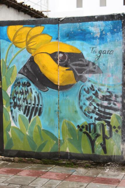 Tangaren-Graffiti in Popayán