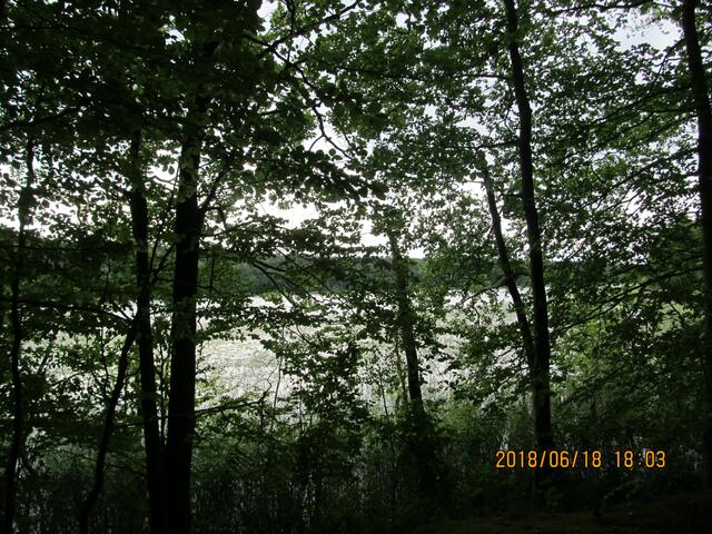 Mühlensee - kurz vor der Havel-Quelle