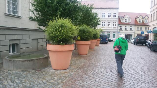 Parkhindernisse!