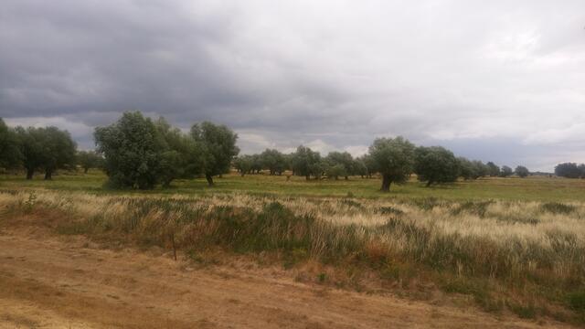 Landschaft pur