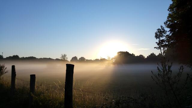 Nebel und Sonne begegnen sich in den frühen Morgenstunden des 4. Juli 2018 um kurz vor 6 Uhr. Bald wird der lebensspendende Himmelskörper die Herrschaft über den Tag übernehmen.