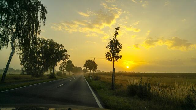 Morgenstund hat Gold im Mund! Mit dem Auto unterwegs in Richtung Morgensonne.
