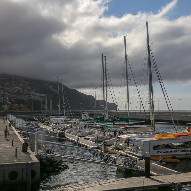 Hier warten die schnellen Katamarane auf Gäste zum Sightseeing, Dolphin-Watching und/oder auch für Angeltouren.