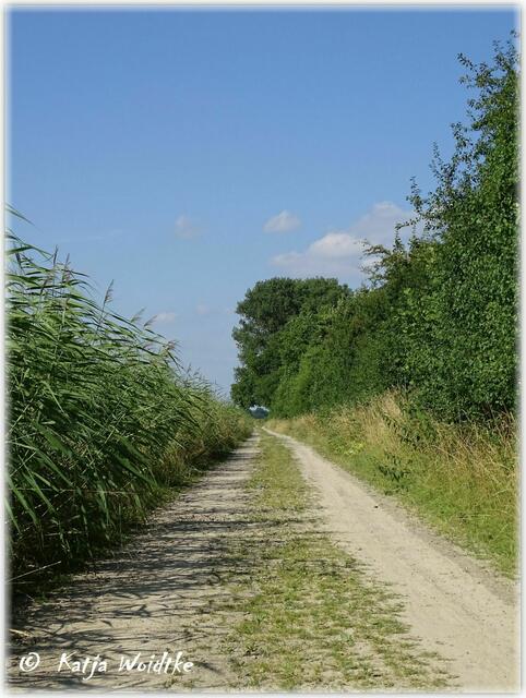 Feldweg zu den Stapelteichen bei Vörie (Foto: Katja Woidtke)