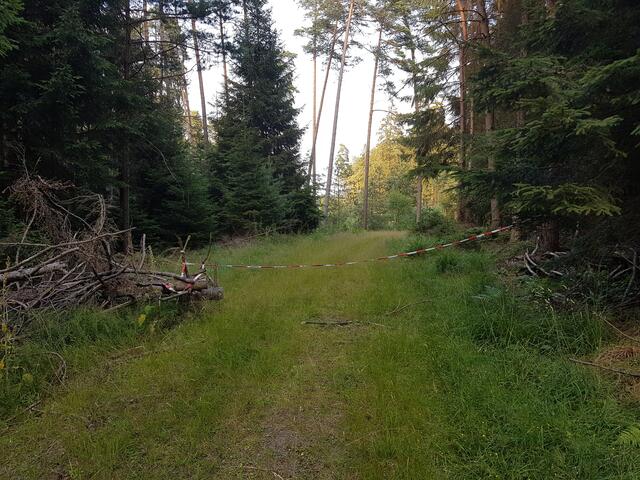 Zum Abtransport von erlegtem Wild benutzt der Förster den nun schon seit 2,5 Jahren gesperrten Weg!