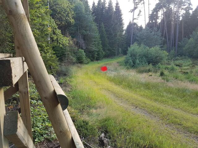 Ein lächerlicher Schaden am Wegrand herbeigeführt durch Rückearbeiten im Jahr 2015