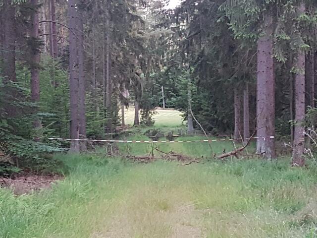 Geäst auf dem Weg ist keine Sperrung erst das Flatterband stellt eine Sperrung dar!