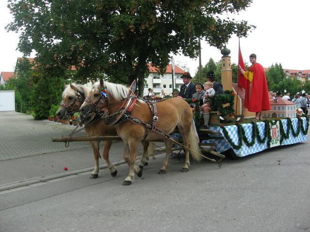 Festwagen mit Haflinger Pferden.