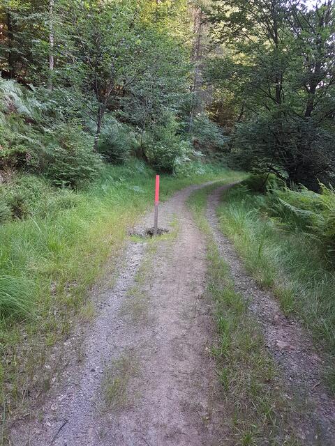 Fußgänger und Radfahrer können Wege weiter nutzen