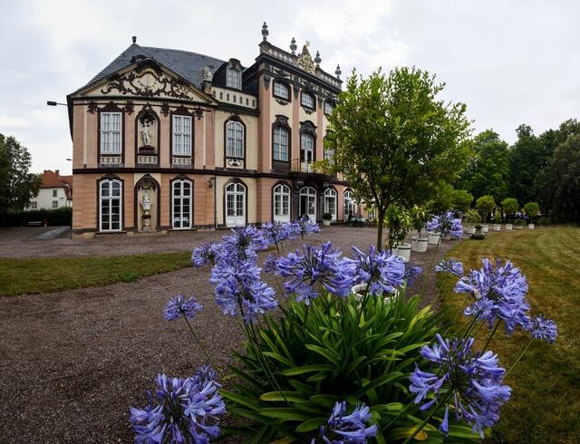 Restaurant im Schloss Molsdorf | Schloss Molsdorf | Schlosspark im Schloss Molsdorf | Foto: SCHWARZE-art