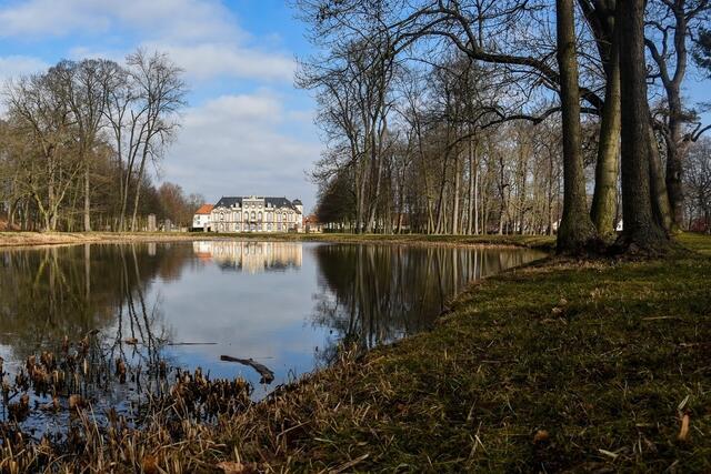 Restaurant im Schloss Molsdorf | Schloss Molsdorf | Schlosspark im Schloss Molsdorf | Foto: SCHWARZE-art