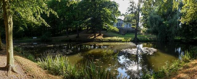 Restaurant im Schloss Molsdorf | Schloss Molsdorf | Schlosspark im Schloss Molsdorf | Foto: SCHWARZE-art