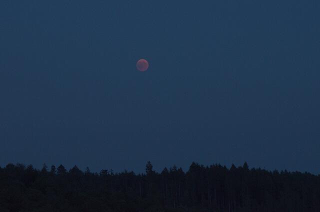 22:22h - erste Sichtung