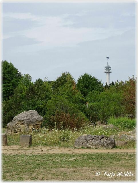 Park der Sinne - Trockental (Foto: Katja Woidtke)